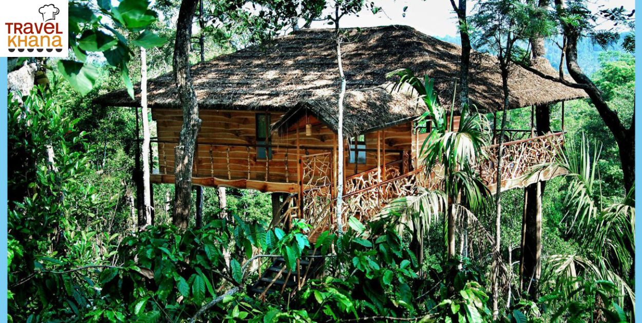 Tree House Retreat in Kerala